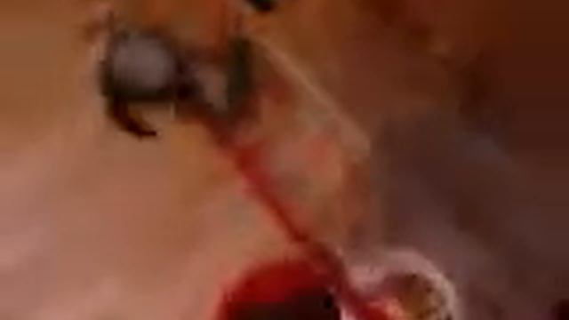 Шунькины забавы