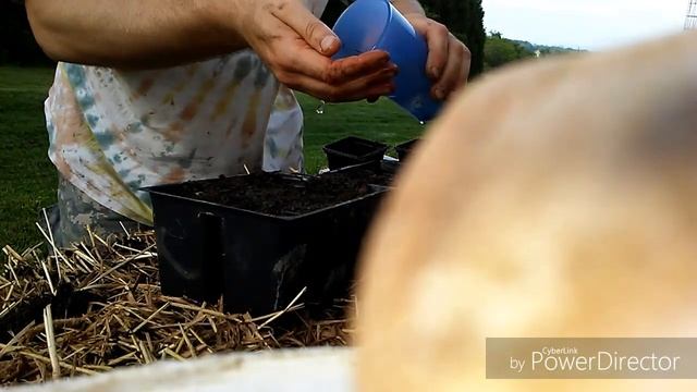 Planting Cantaloupe in Hay Bales and Potting Watermelon Seeds Ep 58 смотреть онлайн