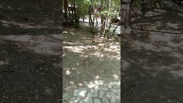 Шоу парк Римская империя смотреть онлайн