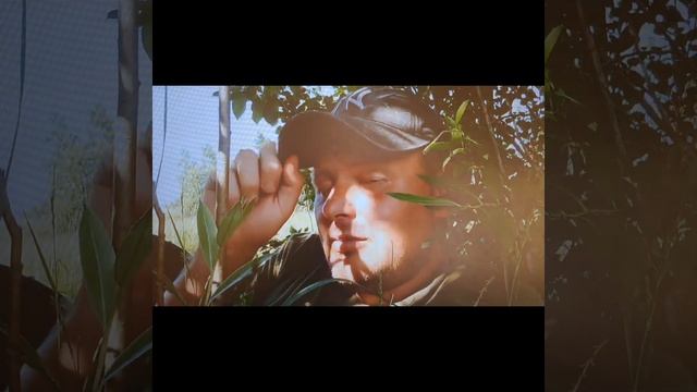 Сказка "Грядущий царь и Кузькина Мать".#стихи #поэт #любовь #рассказы # love #вестник #богослужение смотреть онлайн