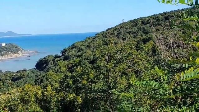 Vlog ✔️Джубга с высоты птичьего полёта ✔️Красота живописная ✔️♥️♥️♥️ смотреть онлайн