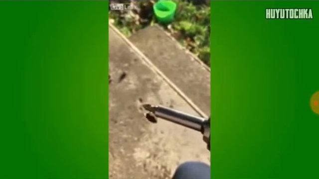 Муха катается(1 часть) смотреть онлайн