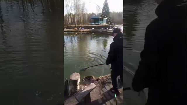 поимки форели смотреть онлайн