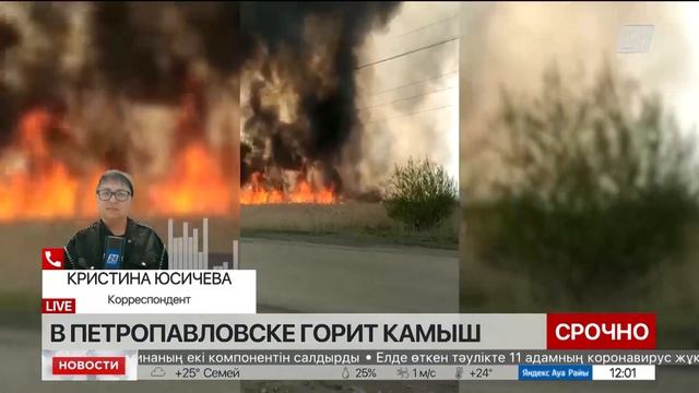 На окраине Петропавловска горит камыш смотреть онлайн