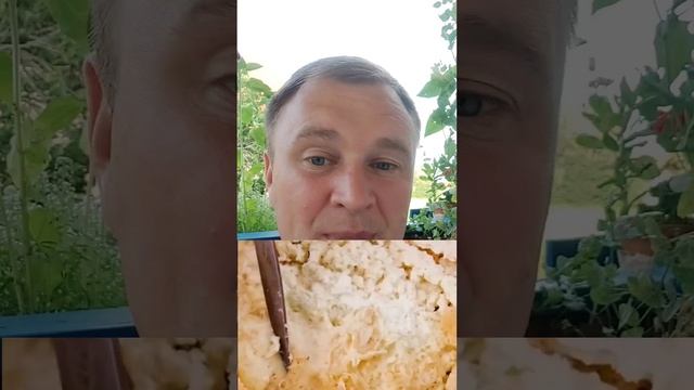 Про самый опасный сыр в мире смотреть онлайн