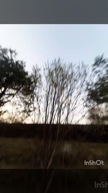 Люблю весну . Весна моё любимое время года..mp4 смотреть онлайн