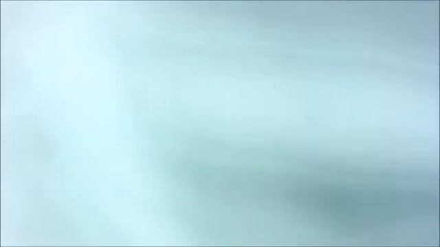 Duck Bill Ray Tenerife Scuba Diving