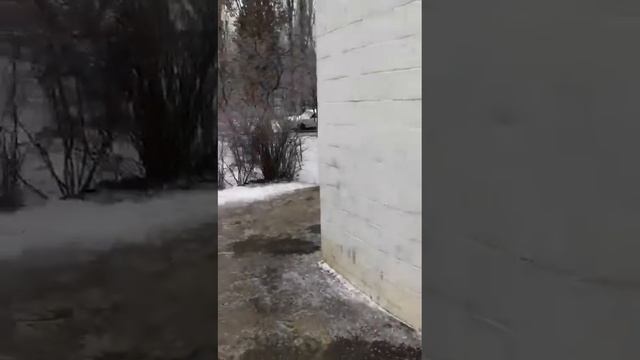 Волгоградка рассказывает о проблемной пандусе смотреть онлайн