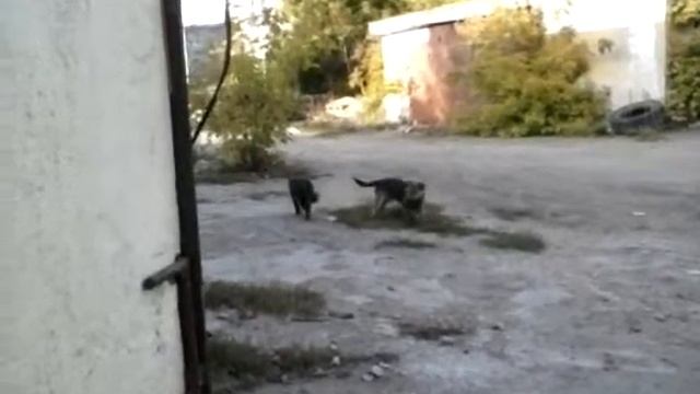 CAM00436 смотреть онлайн