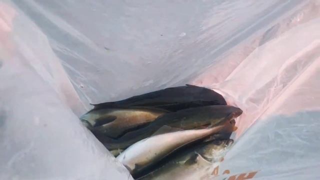 закат на Баренцевом море смотреть онлайн