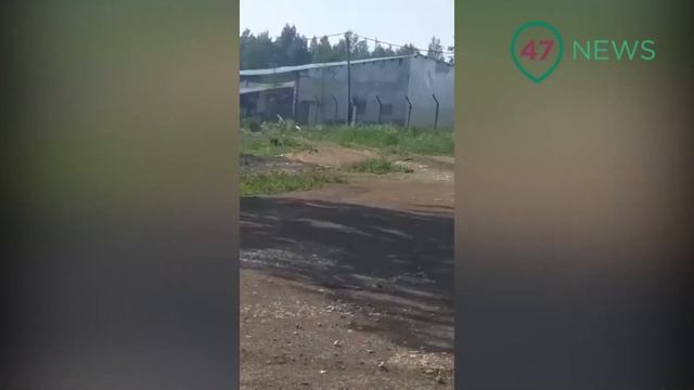 47news: предприятие 