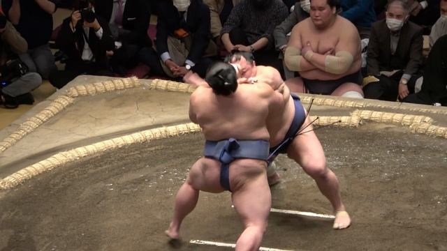 January 2022 Sumo, Day 12: Surprise! смотреть онлайн