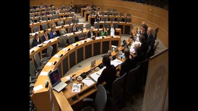 23 - New Growth Model (Philippe Lamberts, Greens/EFA MEP)