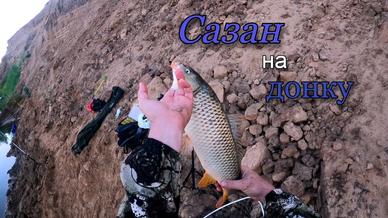 Рыбалка на донки. Рано утром поймал сазанчика смотреть онлайн
