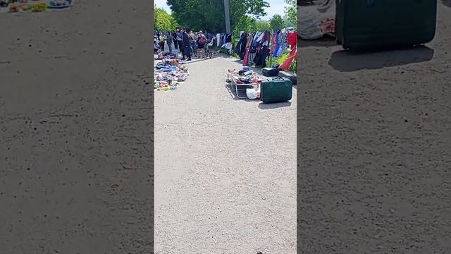 176. Харьков посетила РЫНОК СТАРЫХ ВЕЩЕЙ. МОИ ПОКУПКИ 🙏❤️😲🤗🥰😘😍 смотреть онлайн
