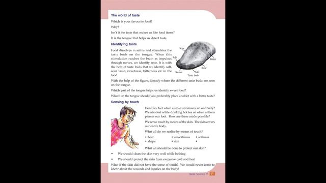 Class 5 Basic Science Chapter 7 part 2 | windows of knowledge | arivinte jaalakangal смотреть онлайн