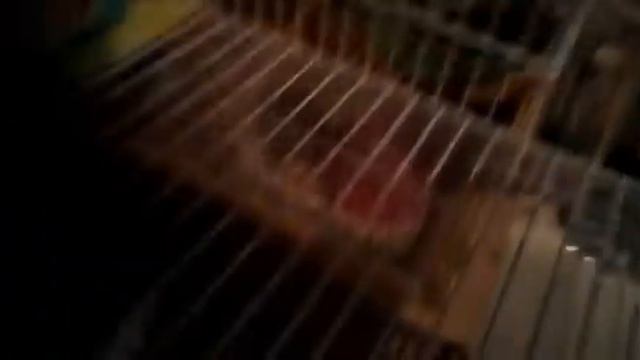 День Хомок смотреть онлайн