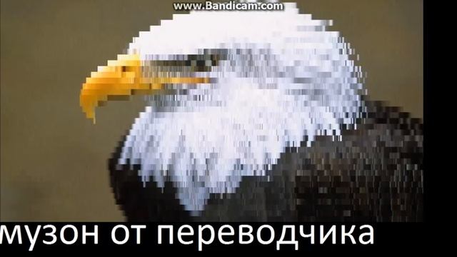 музон от переводчика смотреть онлайн