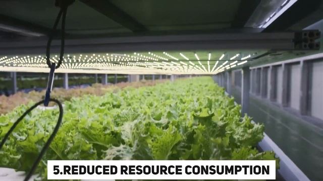 VERTICAL FARMING | Feeding The Future!
