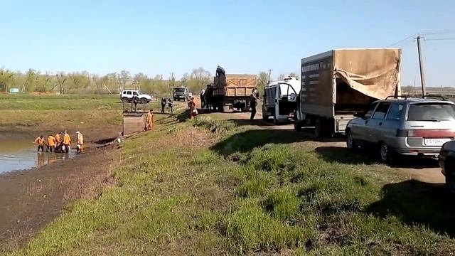Покупка малька карпа. смотреть онлайн