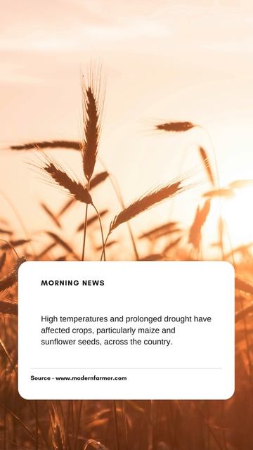 Romania has wheat surplus to export. Join https://bit.ly/saudebazi смотреть онлайн