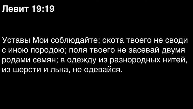 Левит, глава 19 смотреть онлайн