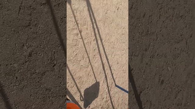 он съел красного муравья смотреть онлайн