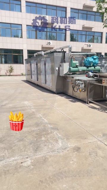 Frozen French Fries Production Line Ready For Delivery🍟🍟🍟