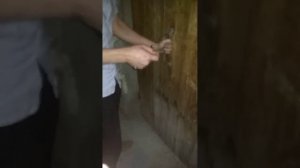 Толик это подъезд