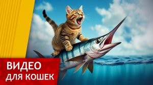 Видео для Кошек - Охота на Меч-рыбу (Развлеки своего кота)