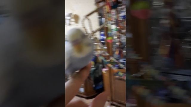 Том играет смотреть онлайн