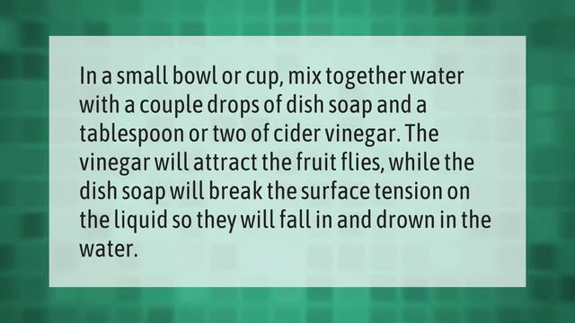 How do you kill flies without killing plants? смотреть онлайн