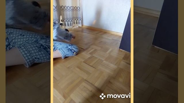 Играю в Настольный теннис.Через полтора часа новое видео,ждите. смотреть онлайн