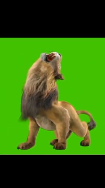 green screen lion as khan 👍😮🦁🐯 Tamhid Animation please like and subscribe 😁 смотреть онлайн