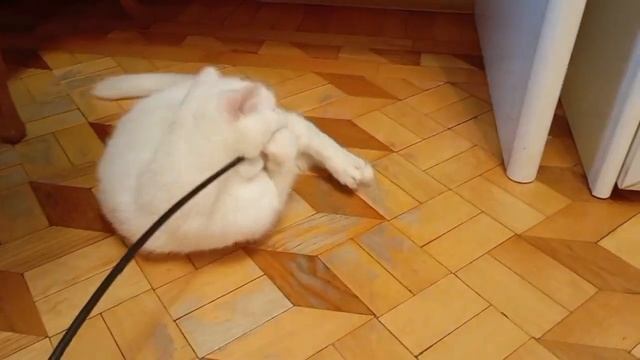 Жизнь Алисы 🌞 Alice's life смотреть онлайн
