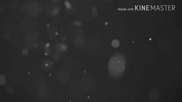 Интро для Riko Gamer