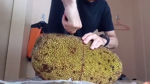 #Pustyrev_travel: ขนุน (Jackfruit) in Thailand. My first experiences. Первый опыт с джекфрутом смотреть онлайн