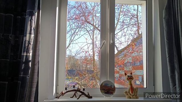 Антикварная лавка
