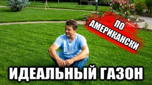 Правильный уход за газоном — стрижка и подкормка для идеальной травы!