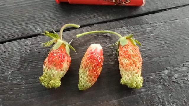 Клубника Купчиха. смотреть онлайн