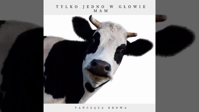 Gdzie Jest Biały Węgorz (Zejście)