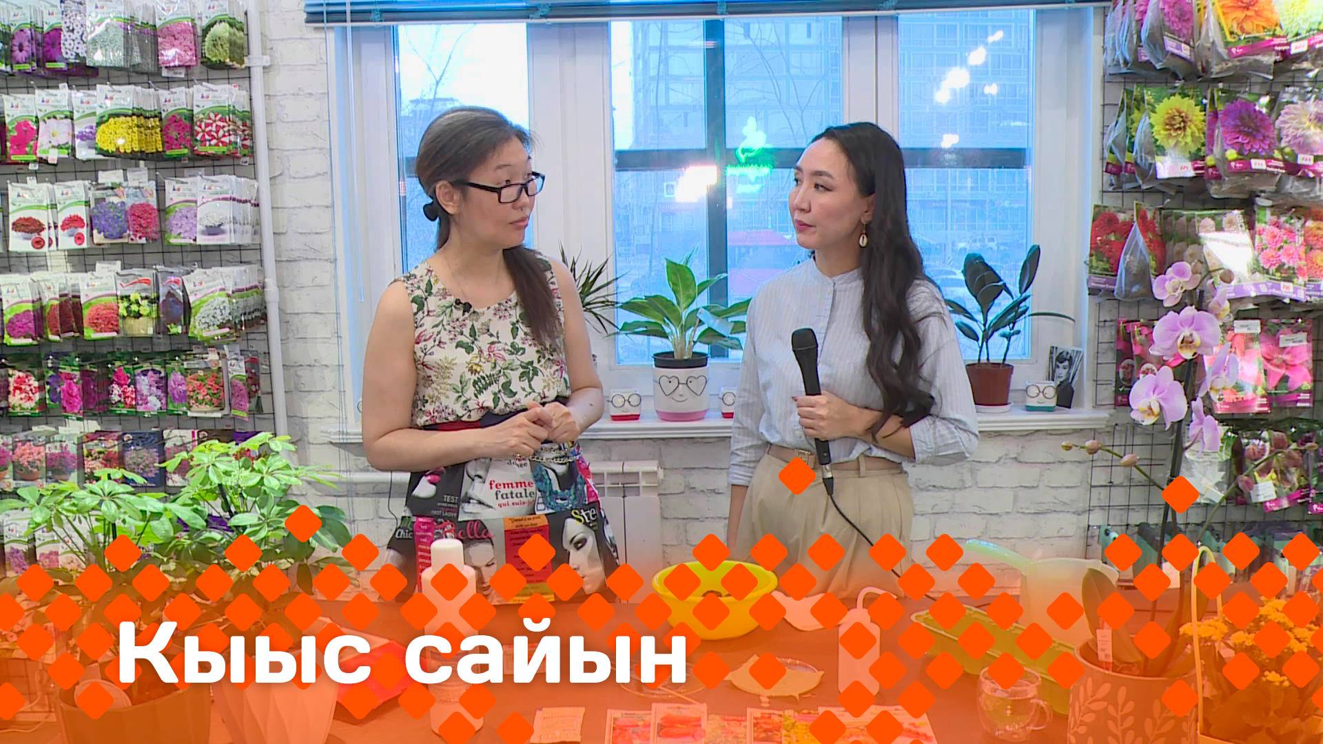 «Кыыс сайын» (18.04.25)