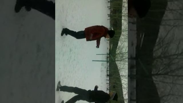 Петухи устроили бой смотреть онлайн