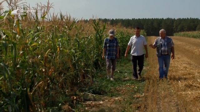 Дороги деревенские (264) 17.04.25 смотреть онлайн