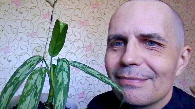 Завел растение смотреть онлайн