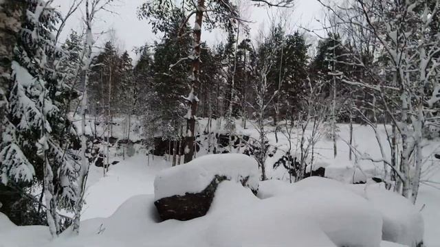 Зимний Выборг "конец света" смотреть онлайн