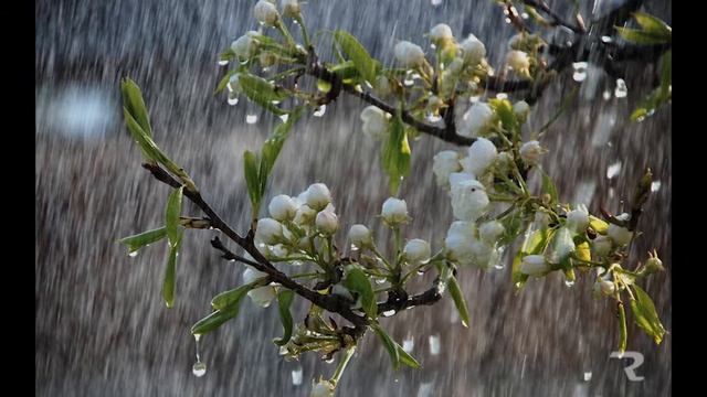 Релакс Дождь Музыка для сна. смотреть онлайн