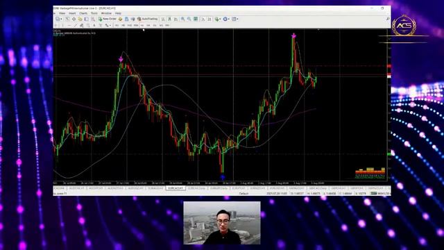 Forex Trade Setup 20210804 смотреть онлайн