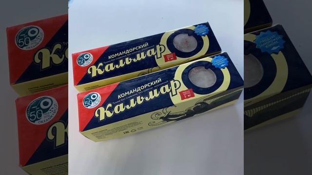 Кальмар командорский