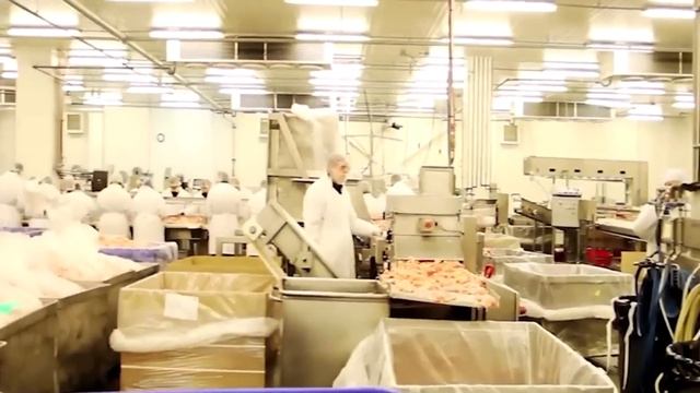Amazing Videos Modern Food Technology Processing Machines Another Level 69 смотреть онлайн